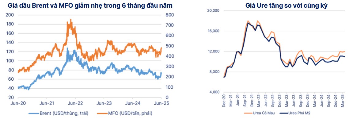 DCM – Cổ phiếu phân bón nổi bật nửa cuối 2025: Cơ hội đến từ cả nội lực và bối cảnh ngành