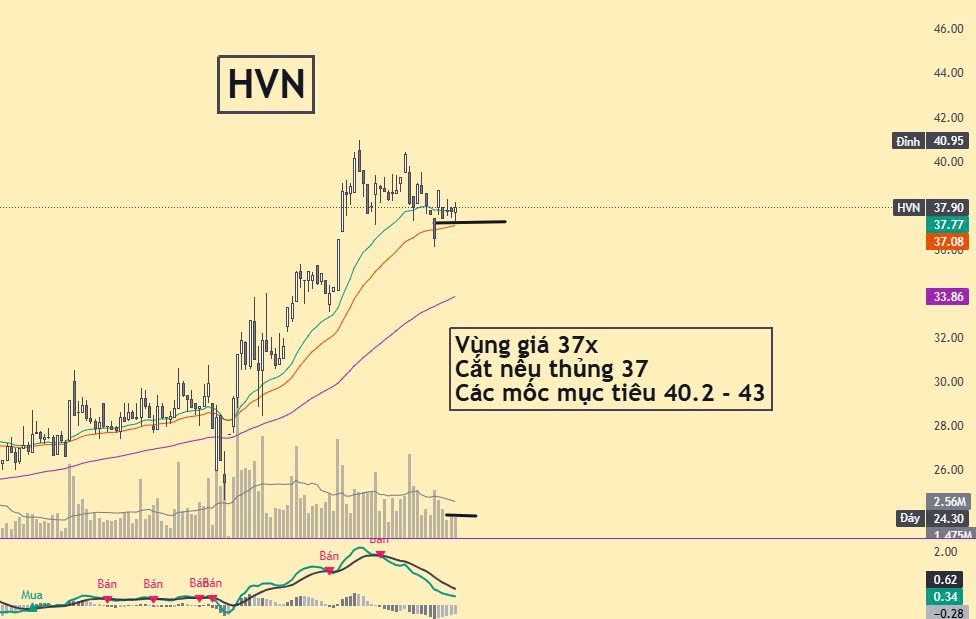 Cổ phiếu tìm cơ hội phiên 1/7: PAN REE HVN PET