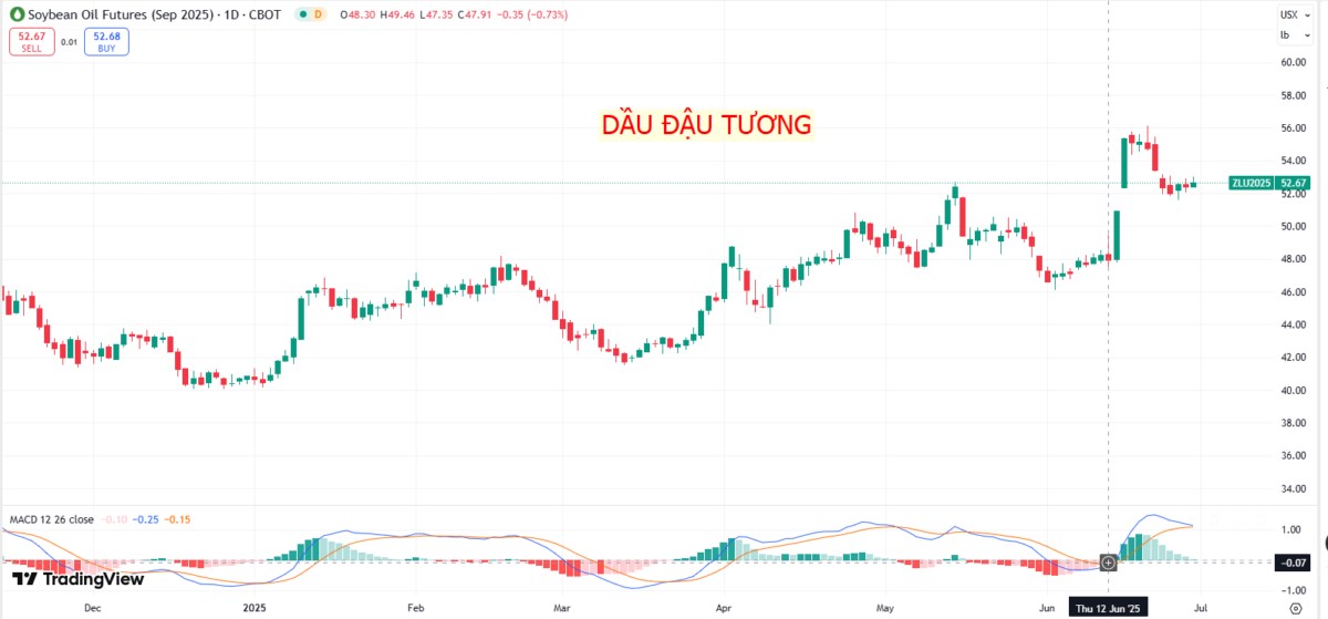 Triển vọng giao dịch đậu tương tuần này: Cơ hội từ chính sách sinh học và diễn biến mùa vụ!