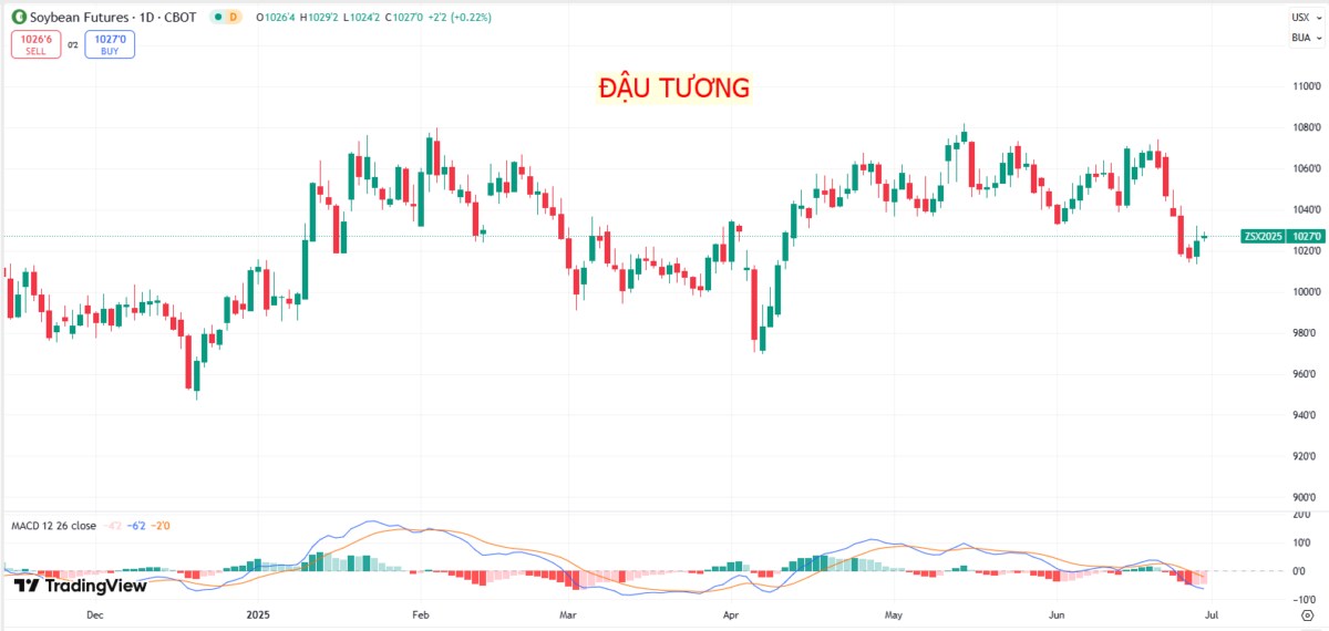 Triển vọng giao dịch đậu tương tuần này: Cơ hội từ chính sách sinh học và diễn biến mùa vụ!