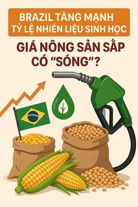 Triển vọng giao dịch đậu tương tuần này: Cơ hội từ chính sách sinh học và diễn biến mùa vụ!