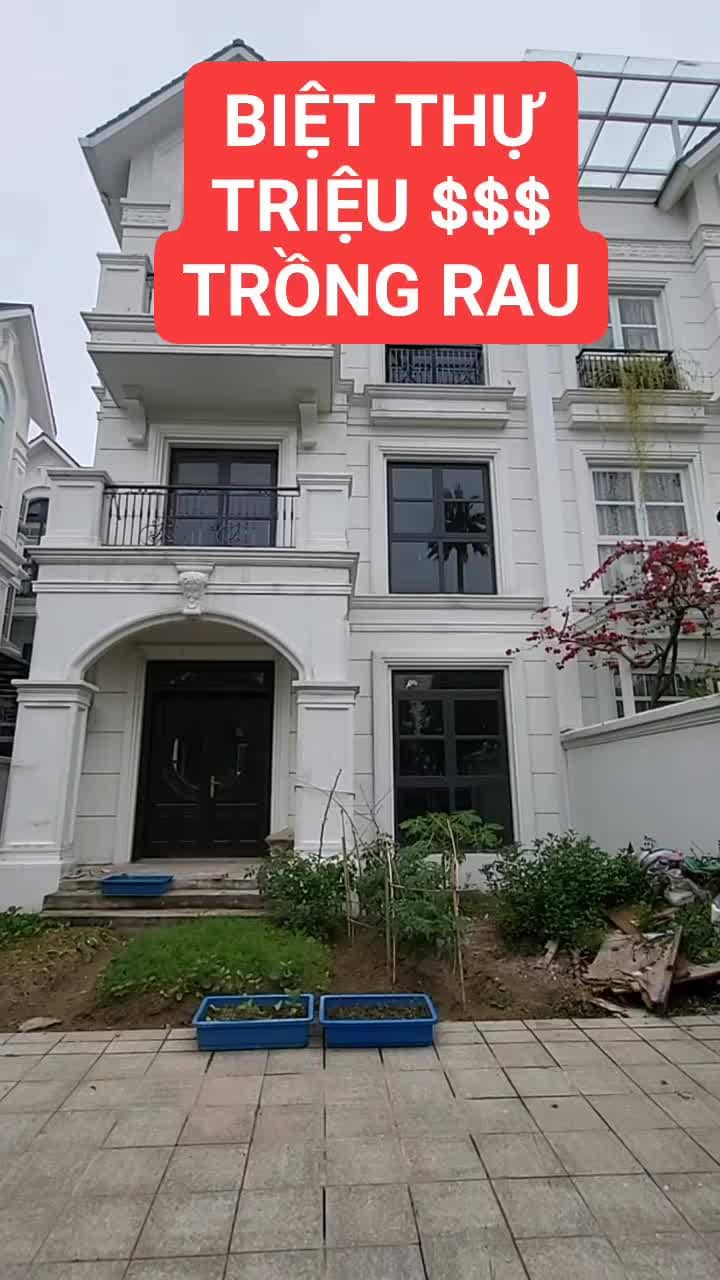 Biệt thự triệu & chỉ để trồng rau....