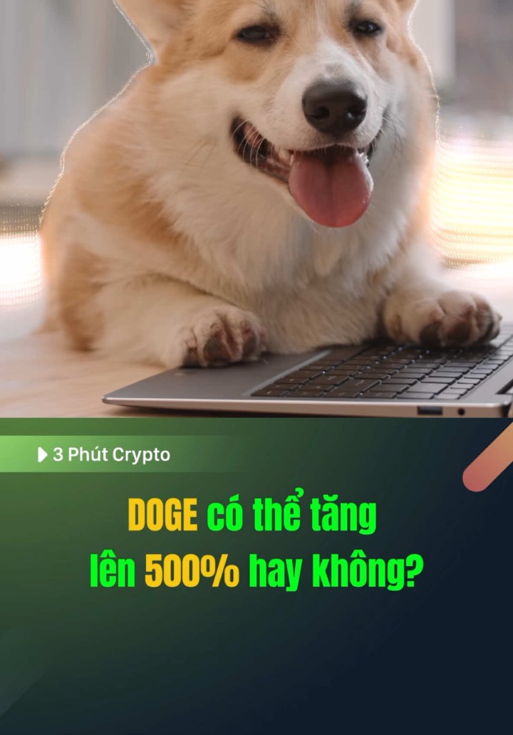 DOGE có thể tăng lên 500% hay không?