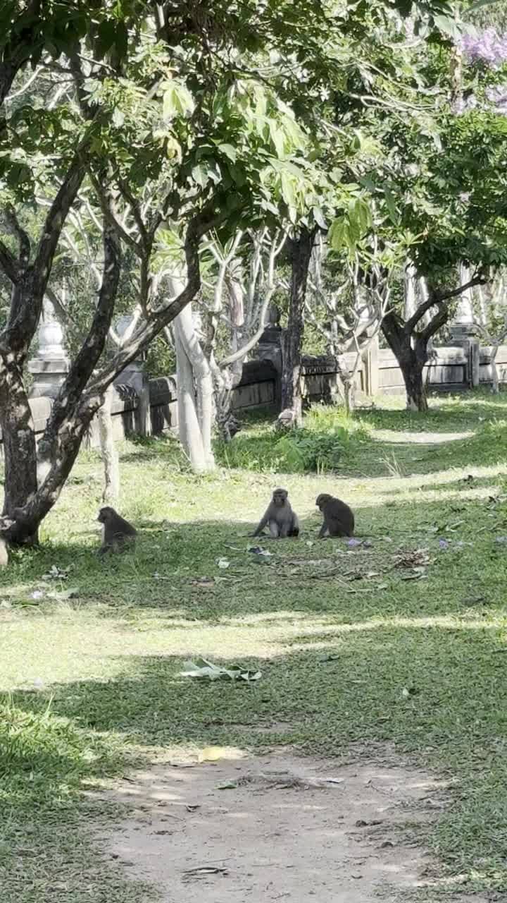 Đà nẵng 2025 