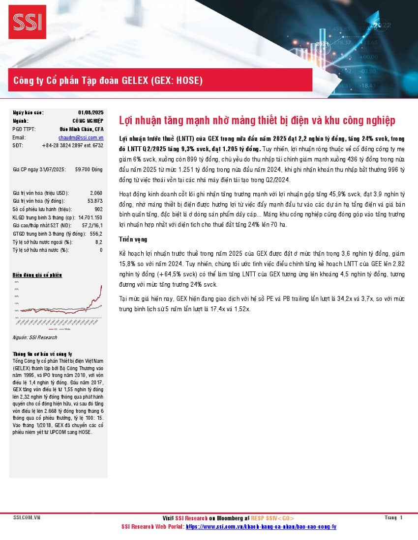 GEX: Báo cáo cập nhật KQKD Q2/2025