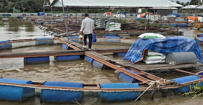 Mỹ ‘tuýt còi’ hải sản: sức ép để chuẩn hóa nghề cá