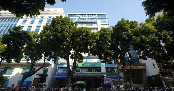 Chủ tịch 82 tuổi và gia tộc họ Đỗ đứng sau Tập đoàn bất động sản kín tiếng nắm trong tay loạt dự án điện gió hàng nghỉn tỷ đồng