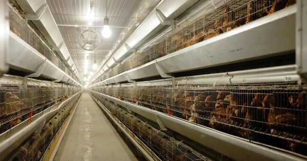 Bùng nổ IPO tại Việt Nam: Cơ hội đầu tư hấp dẫn cho nhà đầu tư