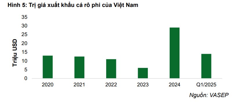 ANV lập đỉnh bất chấp thuế quan