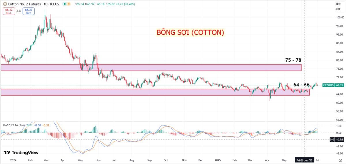 Giá bông sợi (cotton) kì hạn tháng 12/2025 (CTEZ25): Phục hồi yếu, áp lực nguồn cung lớn - nhà đầu tư cần lưu ý gì?