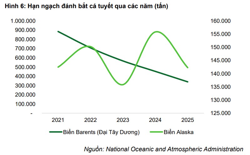 ANV lập đỉnh bất chấp thuế quan