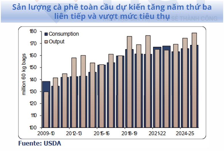 Thị trường cà phê: áp lực giảm giá duy trì khi cung vượt cầu – triển vọng giá hạ nhiệt