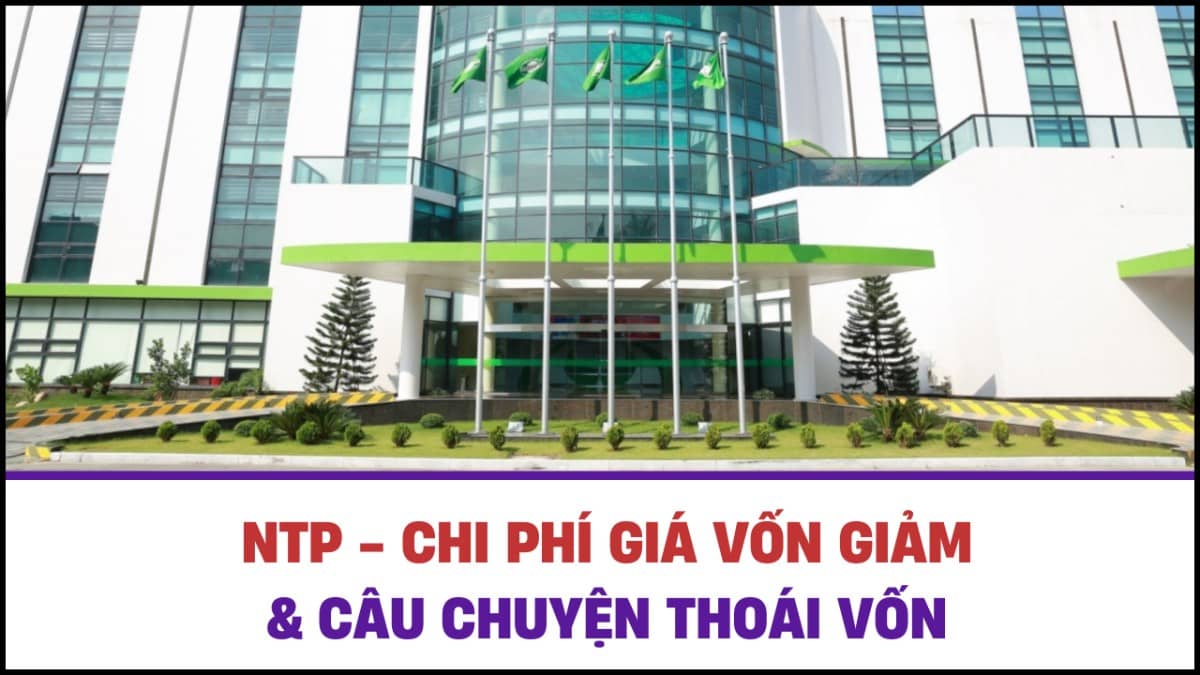 NTP - Chi phí giá vốn giảm và câu chuyện thoái vốn