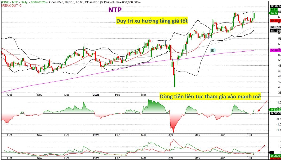 NTP - Chi phí giá vốn giảm và câu chuyện thoái vốn