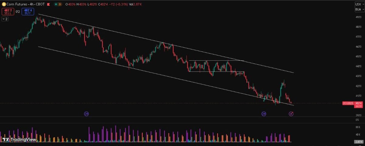Ngô – Tình thế giằng co giữa kỳ vọng và rủi ro địa chính trị