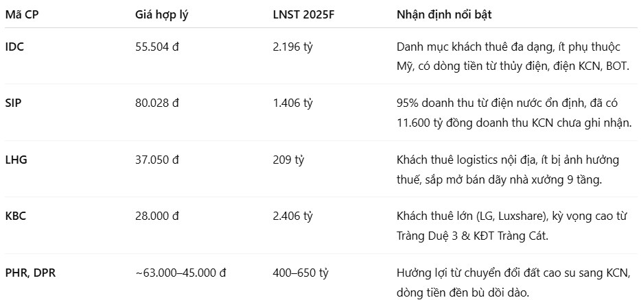 BĐS Khu công nghiệp Việt Nam trước bão thuế quan Mỹ - giai đoạn sàng lọc và củng cố vị thế