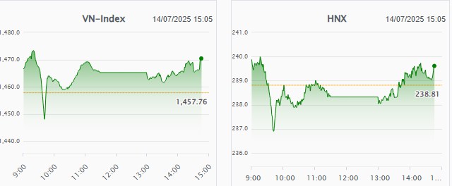 Múc Mạnh Gấp 1 Siêu Cổ BĐS Mai Trần Tím
