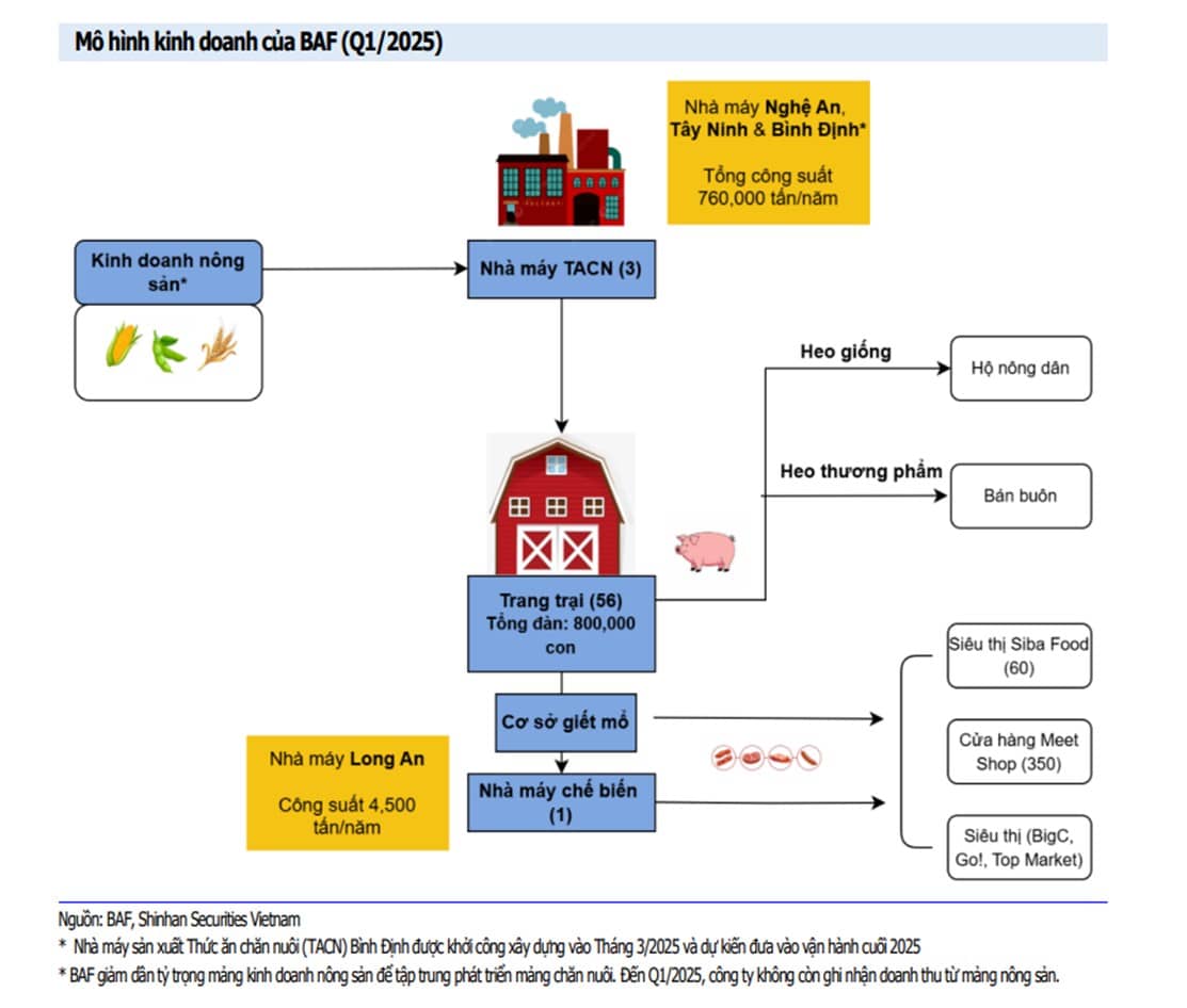 Cổ phiếu BAF – Đế chế "HEO SẠCH" trong quá trình lớn mạnh. Cổ phiếu BAF thuộc Công ty Nông nghiệp BAF  ...