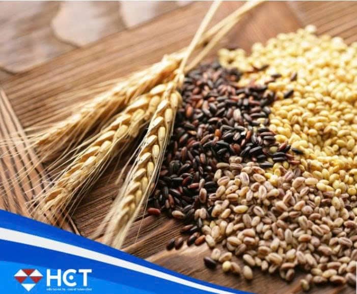 Lúa mì - Tích lũy sẵn sàng cho pha tăng mới