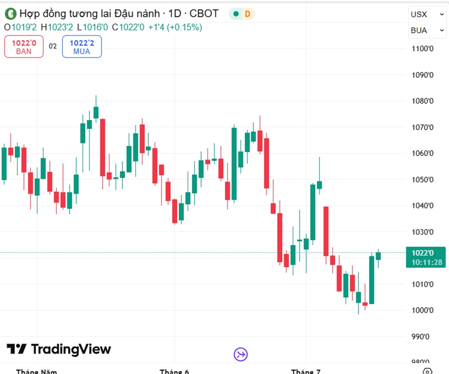 Biến Động Thị Trường Lúa Mì, Ngô, Đậu Tương: Ai Dẫn Sóng, Ai Chịu Áp Lực?