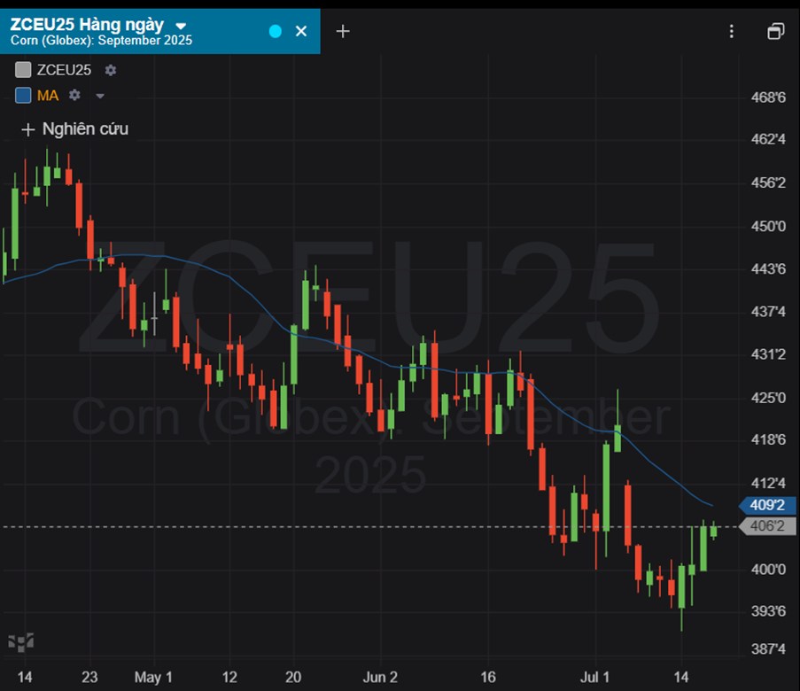 Biến Động Thị Trường Lúa Mì, Ngô, Đậu Tương: Ai Dẫn Sóng, Ai Chịu Áp Lực?