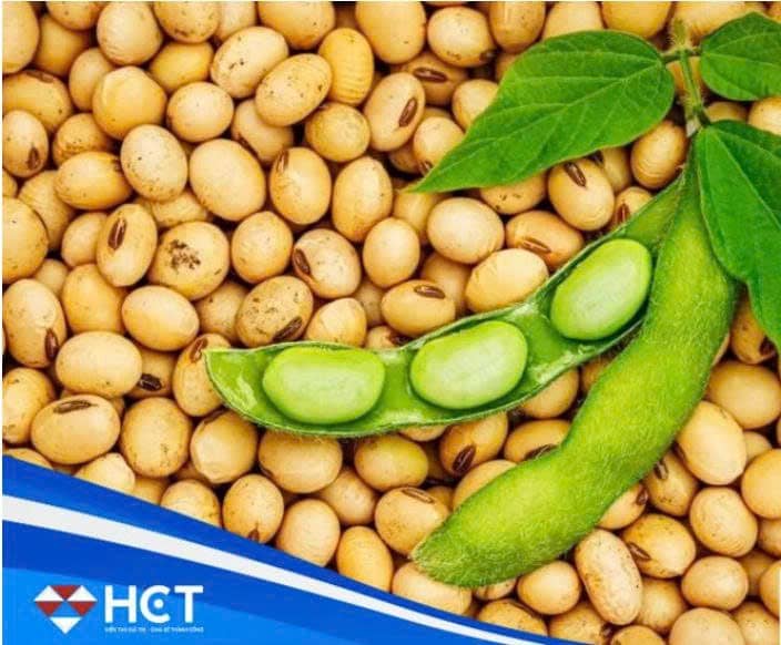 Tích lũy cho pha tăng mới, chiến lược bắt đáy nông sản