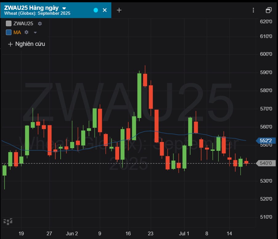 Biến Động Thị Trường Lúa Mì, Ngô, Đậu Tương: Ai Dẫn Sóng, Ai Chịu Áp Lực?