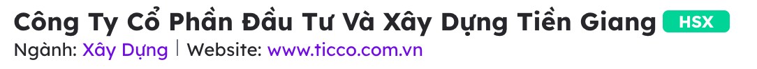 TICCO Tiền Giang - Ông lớn ngành xây dựng miền Tây