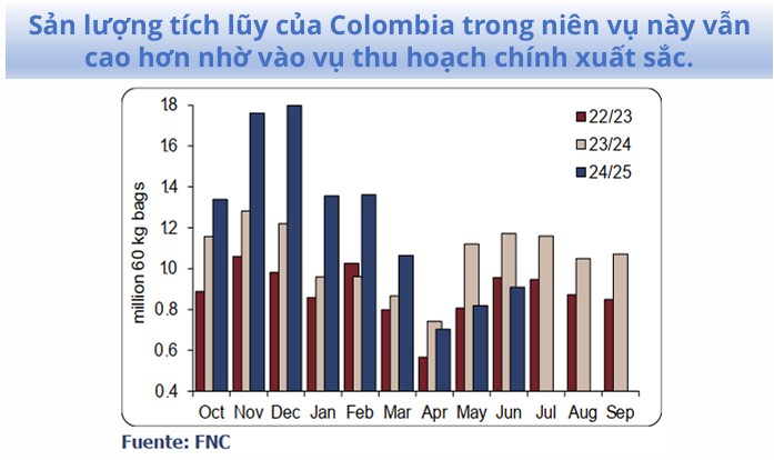 Thị trường cà phê: Nguồn cung dồi dào, tâm lý giao dịch còn thận trọng