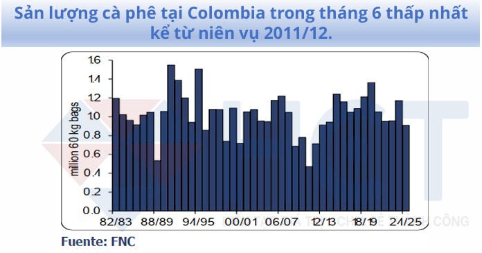 Thị trường cà phê: Nguồn cung dồi dào, tâm lý giao dịch còn thận trọng