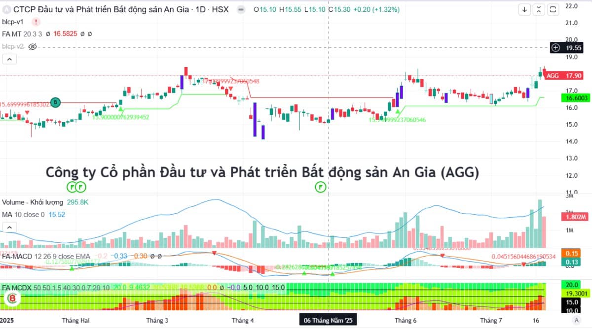 Phân tích chuyên sâu cố phiếu AGG - Gió đông quý 3/2025