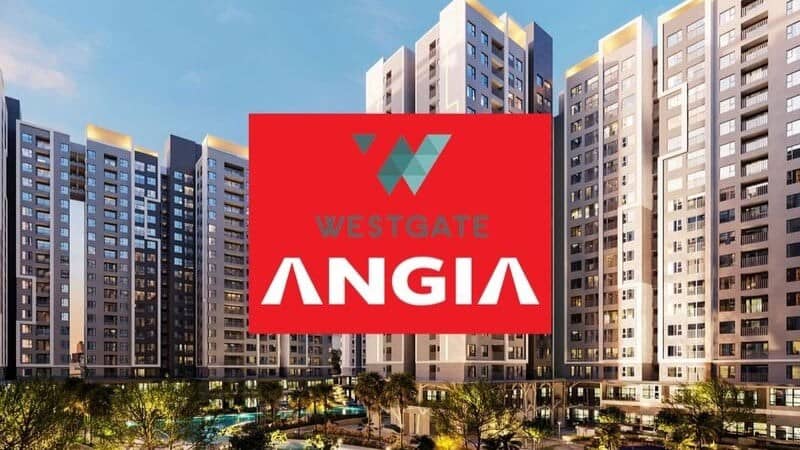 Phân tích chuyên sâu cố phiếu AGG - Gió đông quý 3/2025