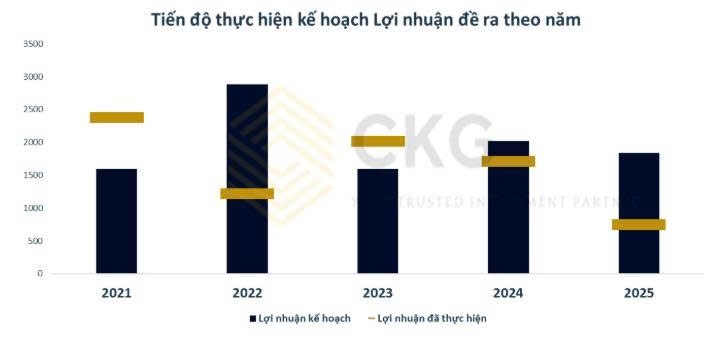 Kết quả kinh doanh Q2/2025 của VND