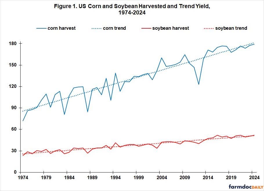 Thị trường nông sản rơi vào chu kỳ giá thấp: Cơ hội hay rủi ro cho nhà đầu tư?