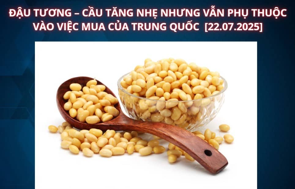 Đậu tương - Cầu tăng nhẹ nhưng thị trường vẫn còn loay hoay