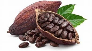 Cacao & Đường: Nhu cầu nguội tiết, nguồn cung vẫn lập lờ – Cảnh báo giảm rủi ro tăng vọt