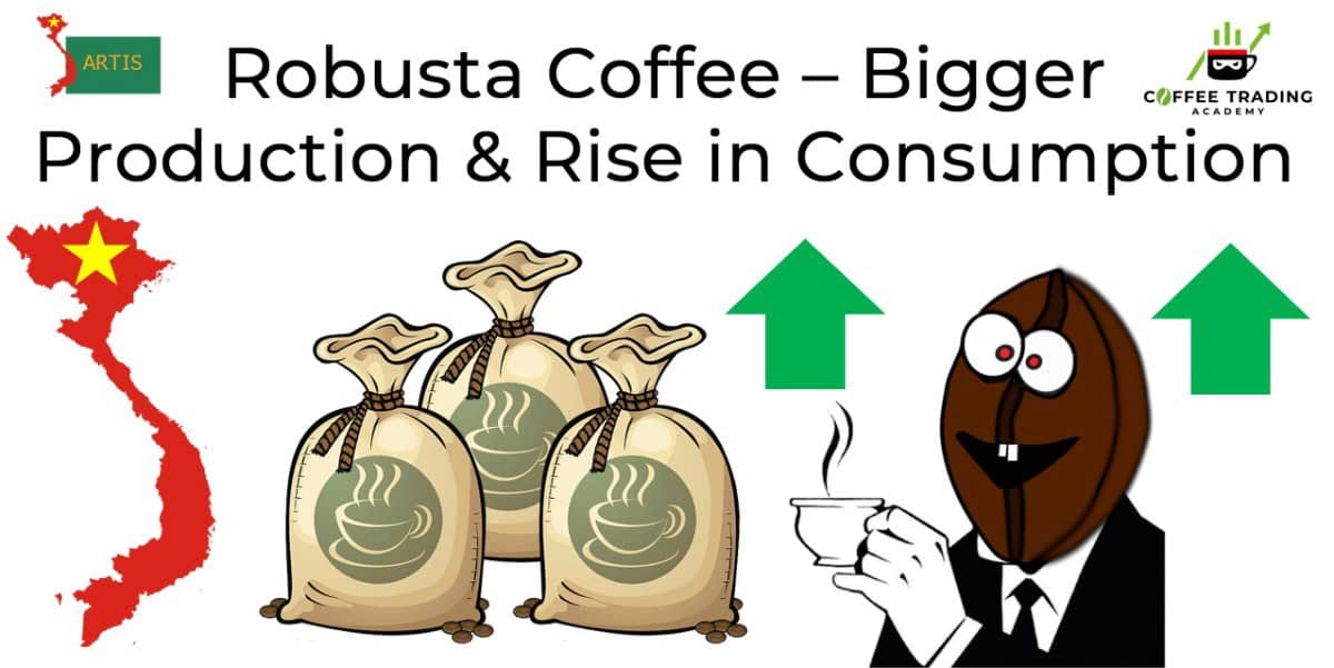 Robusta Coffee: Sản lượng tăng mạnh, tiêu thụ bùng nổ – Xu hướng giá sẽ đi về đâu?