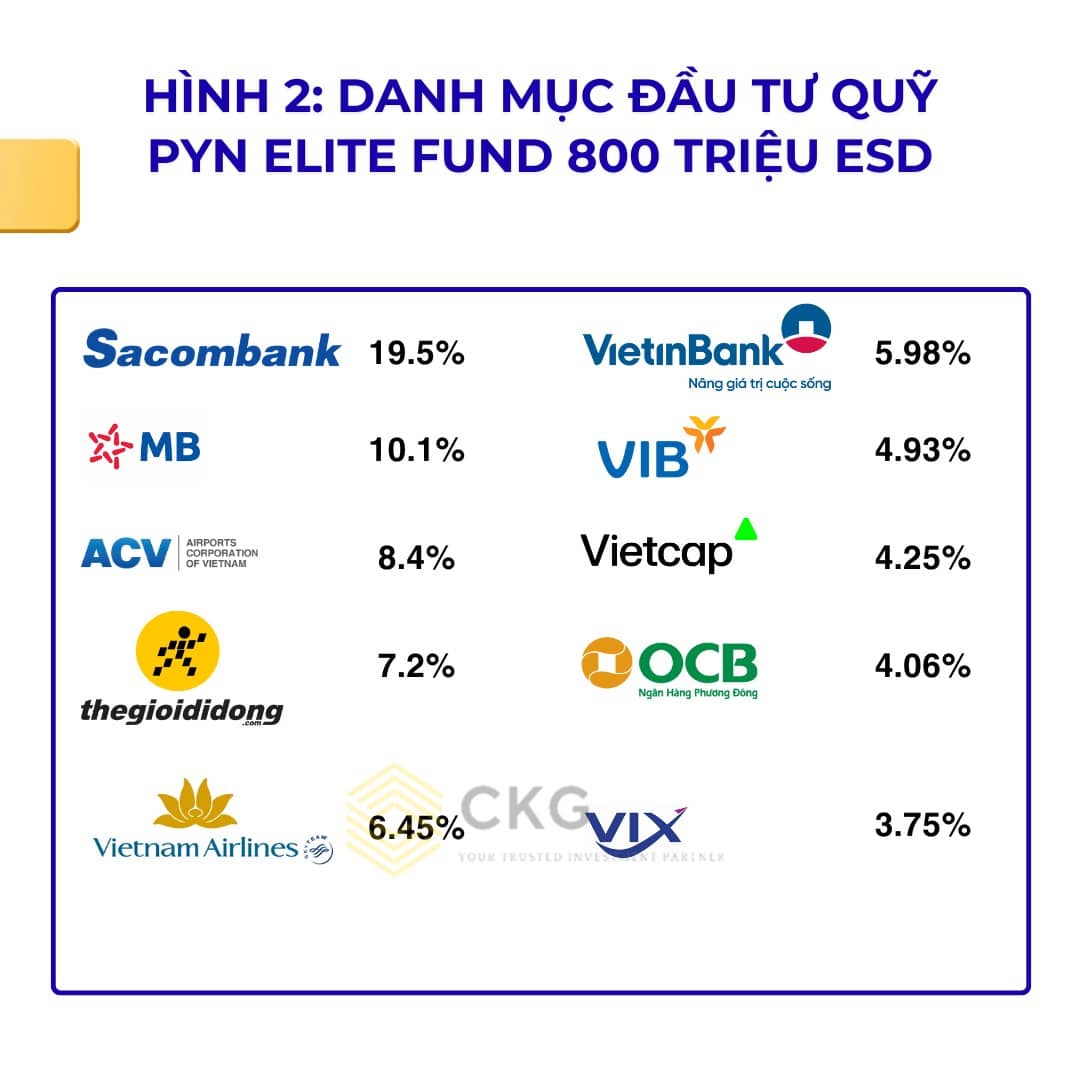  VN-Index lập đỉnh lịch sử mới, PYN Elite với những con số Ảo Tưởng về thị trường chứng khoán.
