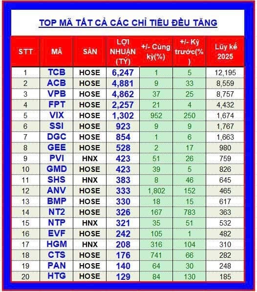 Cập nhật Top cổ phiếu có Lợi Nhuận cao Quý 2/2025 và đạt các tiêu chí tăng trưởng mạnh.. Các cổ phiếu  ...