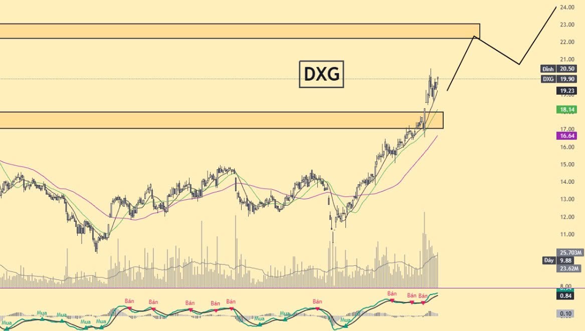Cổ phiếu chú ý 28/7: Bất động sản DXG DXS CEO TCH chạy nước rút?