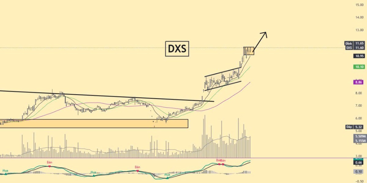 Cổ phiếu chú ý 28/7: Bất động sản DXG DXS CEO TCH chạy nước rút?