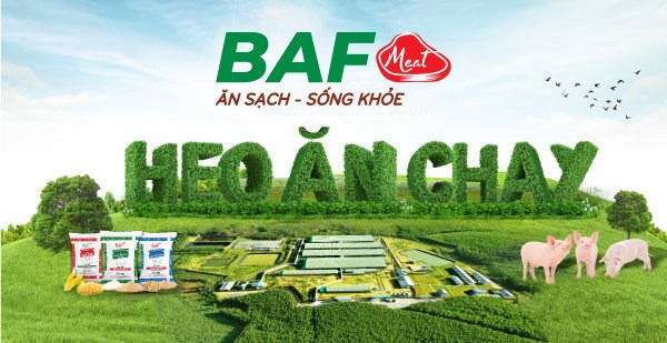 BAF Việt Nam: Bước nhảy vọt đột phá trong ngành chăn nuôi, lợi nhuận tăng trưởng kỷ lục