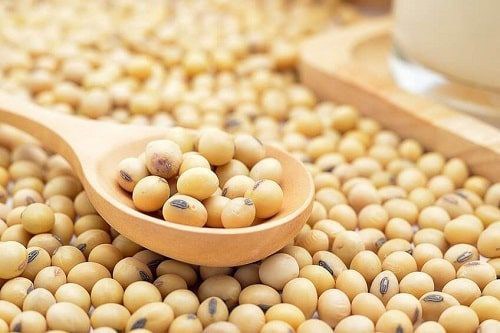 Cơn Sóng Mới Trên Thị Trường Đậu Tương: Mỹ – EU Bắt Tay, Argentina Tung "Đòn Nặng Ký"