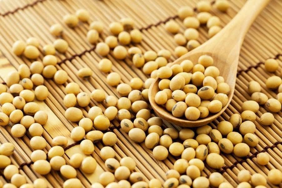 Đậu Tương Chưa Thoát Khỏi Vòng Xoáy Giảm: Cung Dồi Dào – Cầu Chững Lại – Dòng Tiền Chưa Ủng Hộ