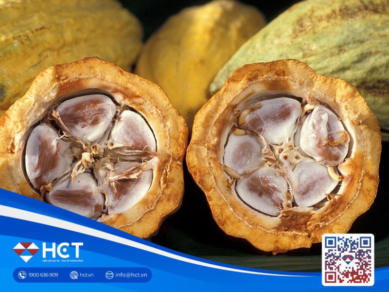 Ca cao chịu áp lực thời tiết, đường hướng về báo cáo sản lượng Brazil ngày 30/7