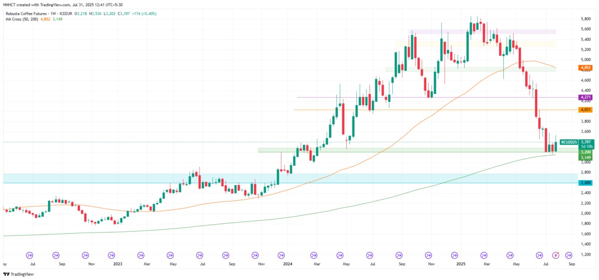 Cú Sốc Áp Thuế 50% Đối Với Cà Phê Brazil Của Mỹ: Đâu Là Hệ Lụy Kinh Tế