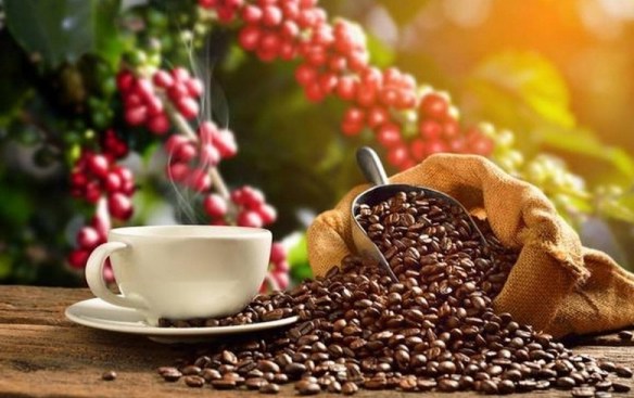 Thị trường cà phê trước biến động thuế Mỹ