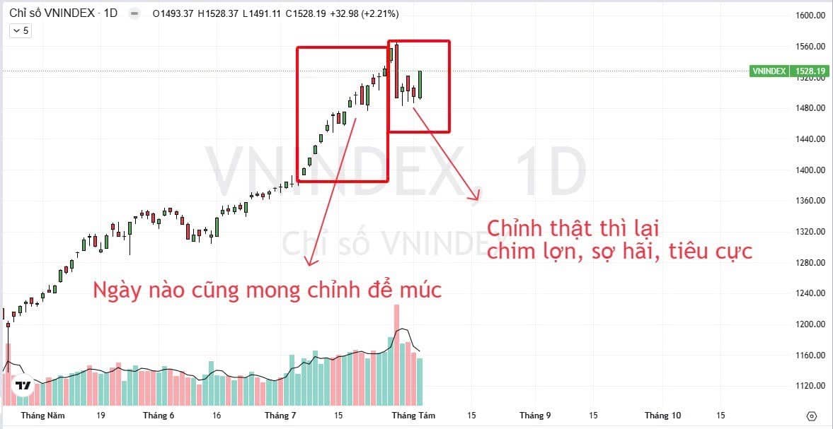 Dòng tiền fomo cực đại. Tập trung Ngân hàng - Chứng khoán - Bất động sản