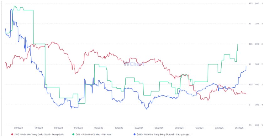 DCM – Liệu có đang được thị trường tái định giá?