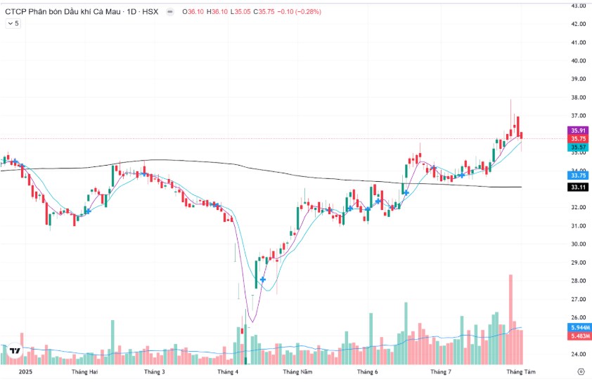 DCM – Liệu có đang được thị trường tái định giá?